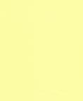 Fabric 1119 Lemon Nylon