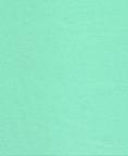 Fabric 1136 Mint Green Nylon