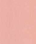 Fabric 1165 Lt Peach nylon