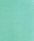 Fabric 3118 Aqua Plush