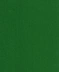 Fabric 3121 Kelly green plush