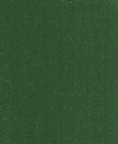 Fabric 3122 Hunter Green Plush