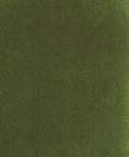 Fabric 3132 Olive plush