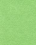 Fabric 7117 Lime mystique