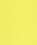 Fabric 1121 Yellow Nylon