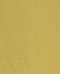 Fabric 1123 Gold Nylon