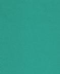 Fabric 1139 Teal Nylon