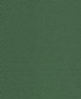 Fabric 1145 Hunter Green Nylon