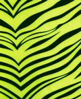 Fabric 1202 Yellow Zebra
