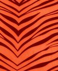 Fabric 1203 Orange Zebra