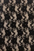 Fabric 12050 Black lace