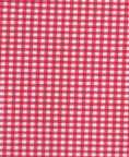 Fabric 1262 ** Red Gingham