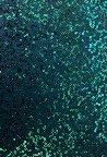 Fabric 13018 Teal sequins