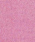 Fabric 7132 Hot pink dot