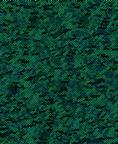 Fabric 7146 Blk/Green dot