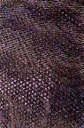 Fabric 11178 Purple Sequins mesh