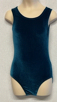Basic scoop leotard