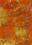 Fabric 7200 Orange Seascapes